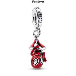 Pandora Charms